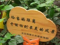-呀路古热带植物园