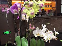 -黔蘑菇四季餐厅(观山湖店)