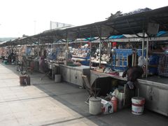 -日照灯塔风景区