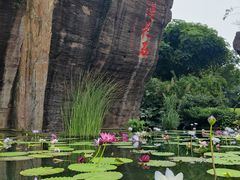 -广州莲花山旅游区