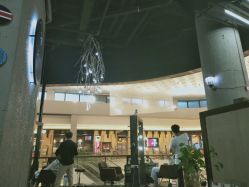-J-Flying艺术形象设计