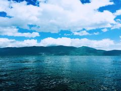-才村湿地公园