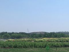 -廊坊文化艺术中心