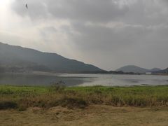 -风云岭森林公园