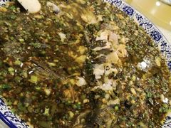 -高坎一品甲鱼庄(两河店)
