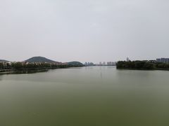 -顺峰山公园