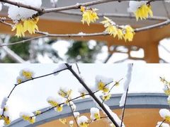 -颐和路民国时期公馆风貌区