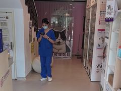-哆趣宠物医院·眼科·内镜·急重症转诊中心(上海店)