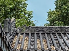 -水濂山森林公园