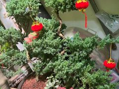 -花鸟鱼虫鲜花绿植市场(玉泉路店)