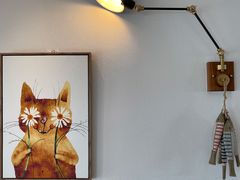 -猫小主咖啡·猫咖cat cafe(福田店)