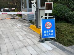 -绿雪芽白茶(浙大华家池校区凯旋路店)
