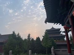 -大槐树寻根祭祖园