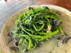 -贤鲁岛贤溪农庄