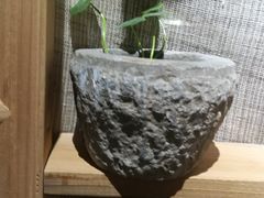 -八珍手工水饺·妈妈的爱(传芳巷店)