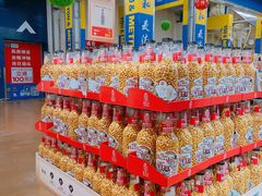-麦德龙(十里河店)