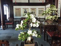 -上海醉白池公园