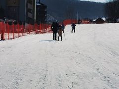-中旅松花湖滑雪场