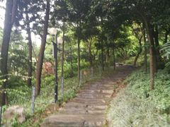 -云溪植物园