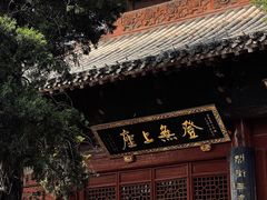 -洛阳白马寺