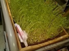 -老表记广西宵夜螺蛳鸭脚煲(西大店)