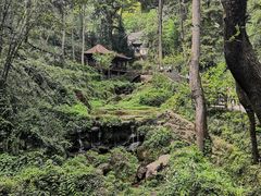 -青城山