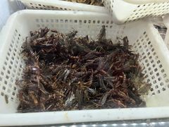 -元谋凉鸡店(百年老店)