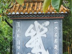 -靖西鹅泉风景区