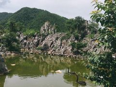 -千岛湖石林
