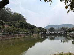 -满記土窑烧鷄波浪山莊