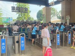 -苏州乐园森林水世界