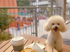 -KUDDO COFFEE(天河城店)