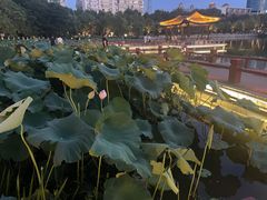 -南通濠河风景名胜区