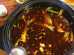 -金海椒罐罐鲢鱼(东方桂苑店)