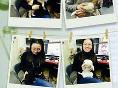 android_upload_pic-A+摄影