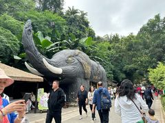 -野象谷景区