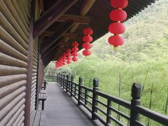 -大唐贡茶院