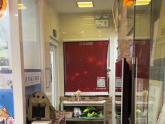 -芭比堂动物医院·心脏科·老年急重症·夜诊·吉雅分院