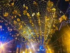-锦江乐园舞狸花花游园会(夜场专享)