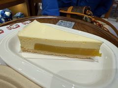 -BE YOLO必有乐&小红帽三明治