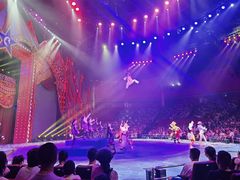 -珠海横琴长隆《卡卡虎奇遇记》