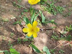 -长春公园(普阳街道)