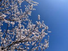 -北京十三陵国家森林公园蟒山景区