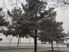 -首都师范大学(良乡校区)