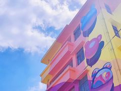 -霏梵印象公园摄影基地
