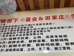 -蘑统田下·野生菌火锅