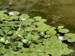 -苏州吴中太湖旅游区