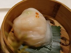 宝园虾饺皇-宝园酒家(美林M·LIVE天地东座店)