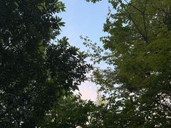 -仙海旅游度假区