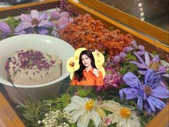 -芸山季·云南山珍菌火锅(南翔印象城MEGA店)